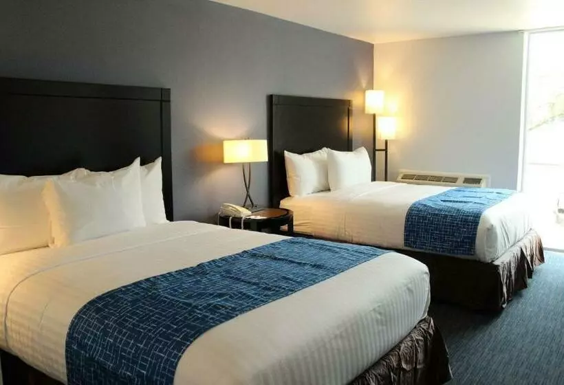 スタンダードルーム, Travelodge By Wyndham Water S Edge Hotel   Racine