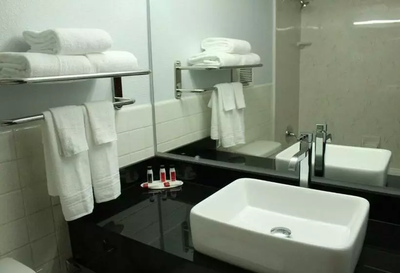 キングサイドベッドのスタンダードワンルーム, Travelodge By Wyndham Water S Edge Hotel   Racine