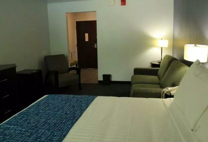 キングサイドベッドのスタンダードワンルーム, Travelodge By Wyndham Water S Edge Hotel   Racine
