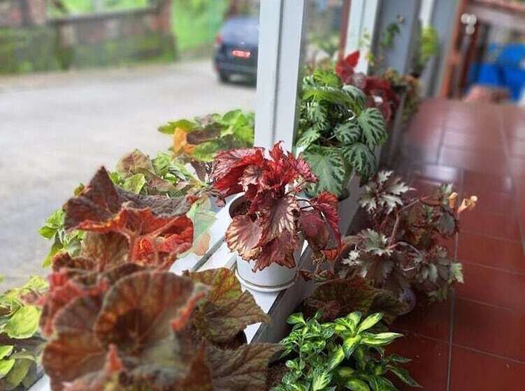 Deluxe Rum, Wisma & Kantin Amanda