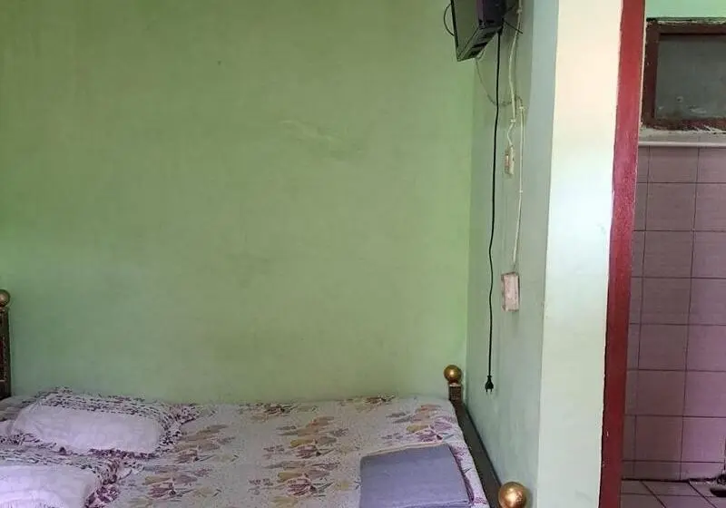 Standart Tek Kişilik Oda, Wisma & Kantin Amanda