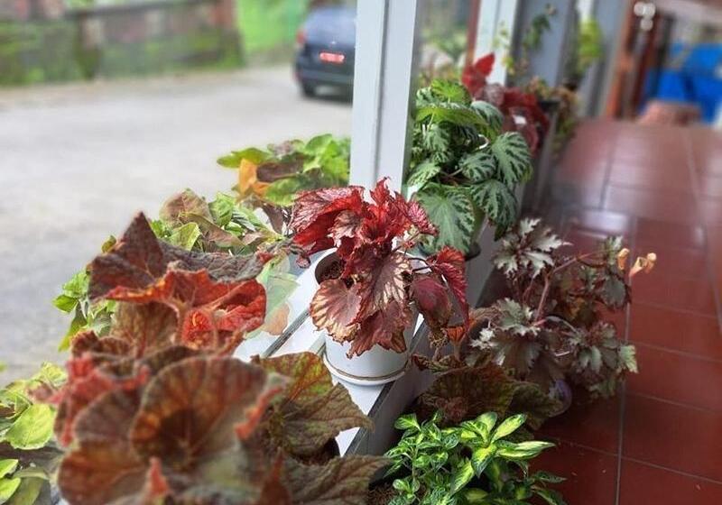 Deluxe Rum, Wisma & Kantin Amanda