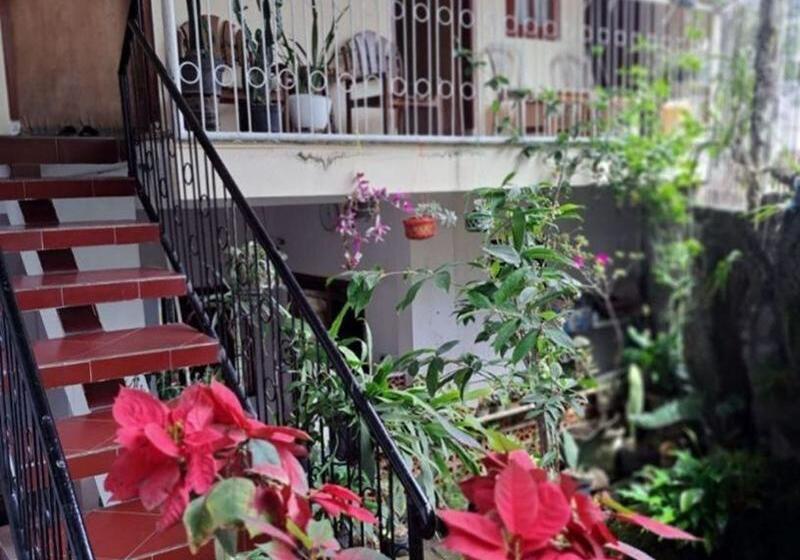 Deluxe Rum, Wisma & Kantin Amanda