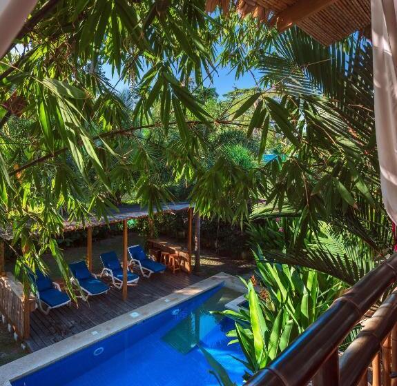 חדר סטנדרט נוף לבריכה, Black Bamboo B&b