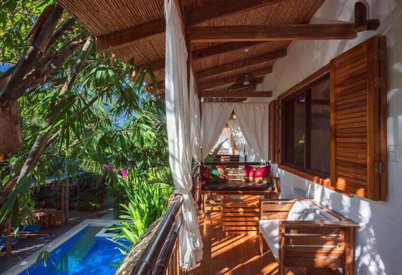 חדר סטנדרט נוף לבריכה, Black Bamboo B&b