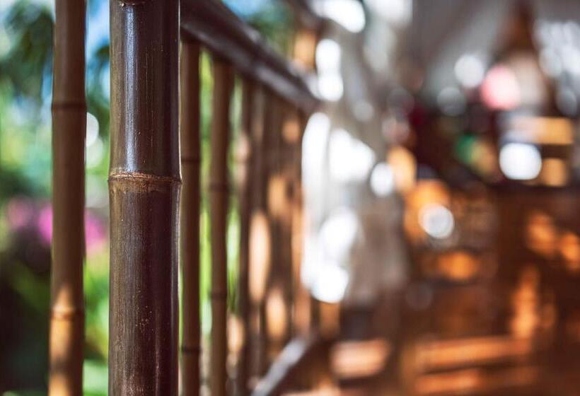 חדר סטנדרט נוף לבריכה, Black Bamboo B&b