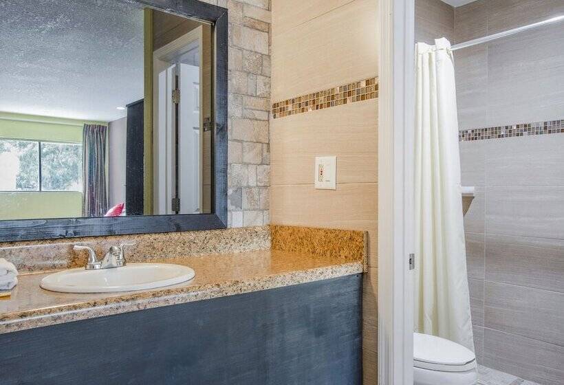 غرفه قياسيه سريرين مزدوجين, Oyo Superior Budget Inn Bartow