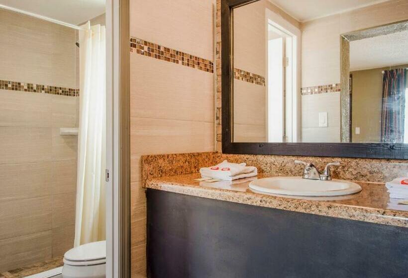 חדר סטנדרט עם מיטת קינג, Oyo Superior Budget Inn Bartow