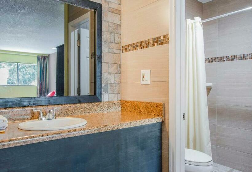 غرفه قياسيه سريرين مزدوجين, Oyo Superior Budget Inn Bartow