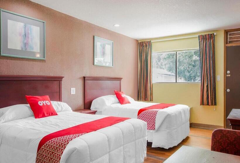 ２ダブルベッドのスタンダードルーム, Oyo Superior Budget Inn Bartow
