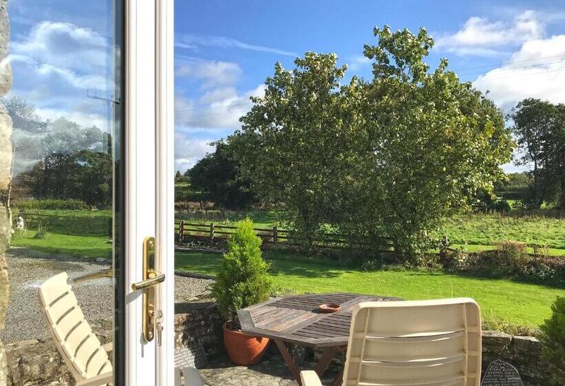 标准间, Maesyfelin Isaf B&b