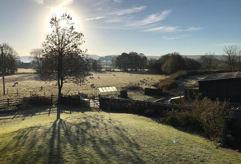 标准间, Maesyfelin Isaf B&b