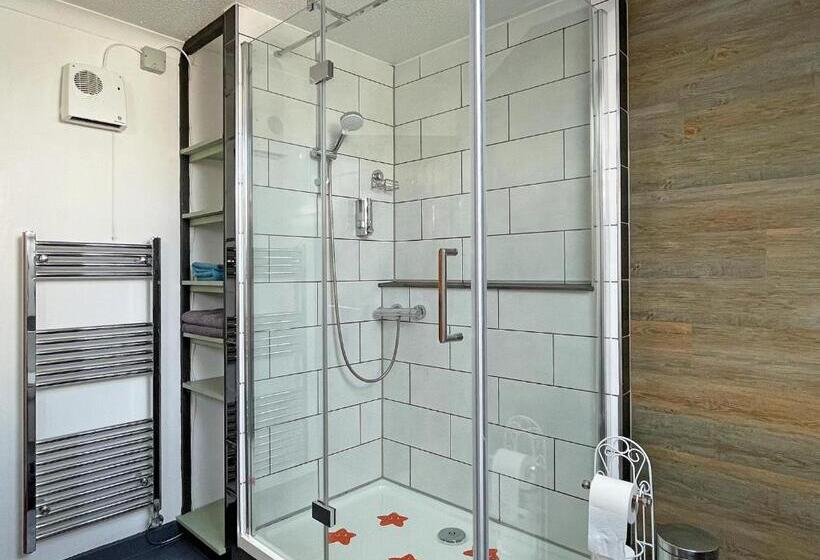 带大床的标准间, Maesyfelin Isaf B&b