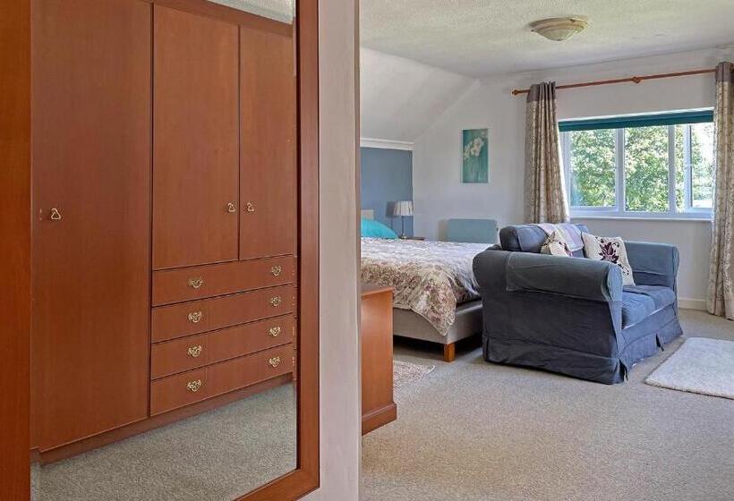 带大床的标准间, Maesyfelin Isaf B&b