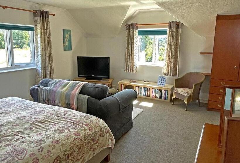 Стандартный Номер Кровать Кинг, Maesyfelin Isaf B&b