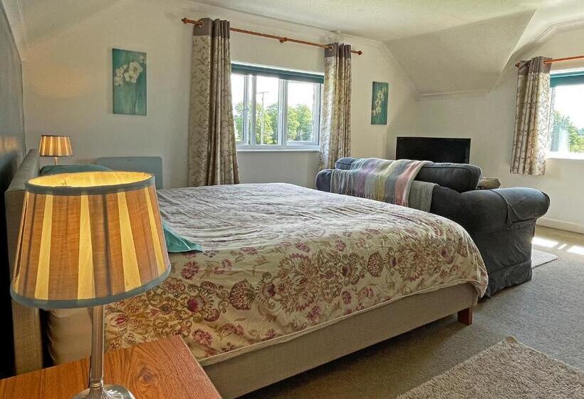 带大床的标准间, Maesyfelin Isaf B&b