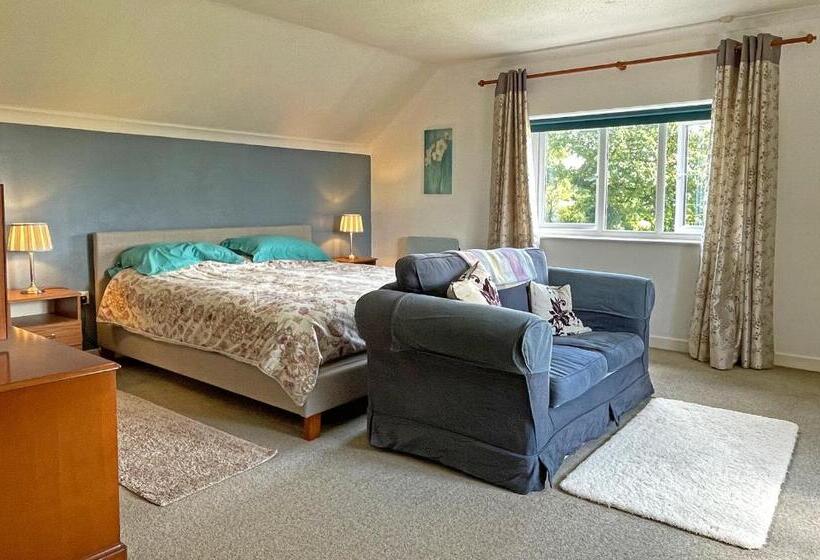 Стандартный Номер Кровать Кинг, Maesyfelin Isaf B&b