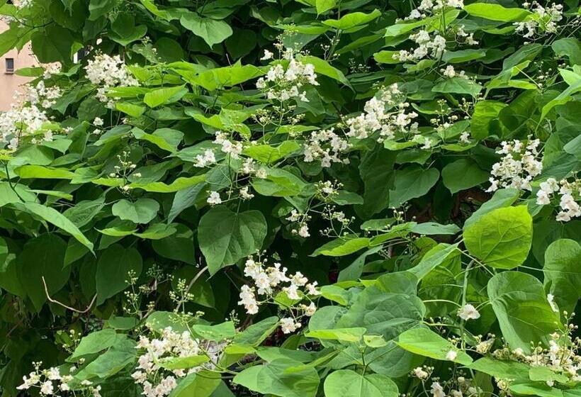 1ベッドルームアパートメント, Boarding Potsdam