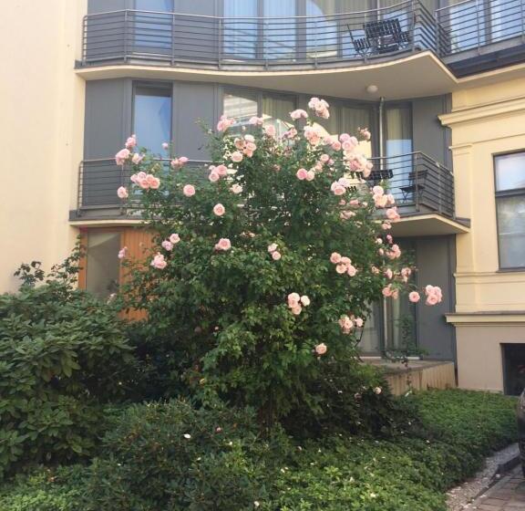 スタンダードスタジオ, Boarding Potsdam