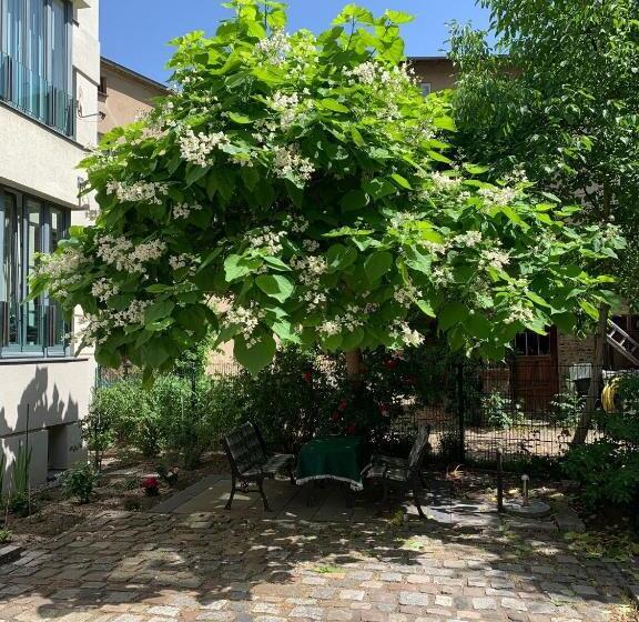 1ベッドルームアパートメント, Boarding Potsdam