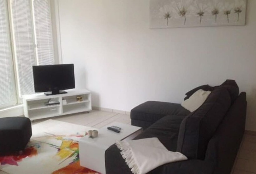 スタンダードスタジオ, Boarding Potsdam