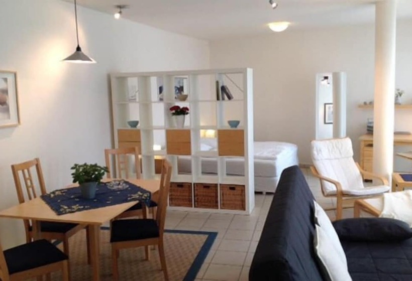 スタンダードスタジオ, Boarding Potsdam