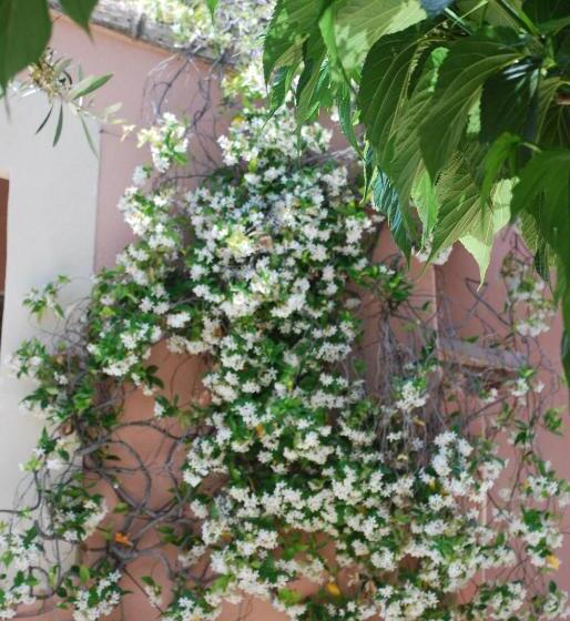 Номер Стандарт, La Calanque Du Boucharel