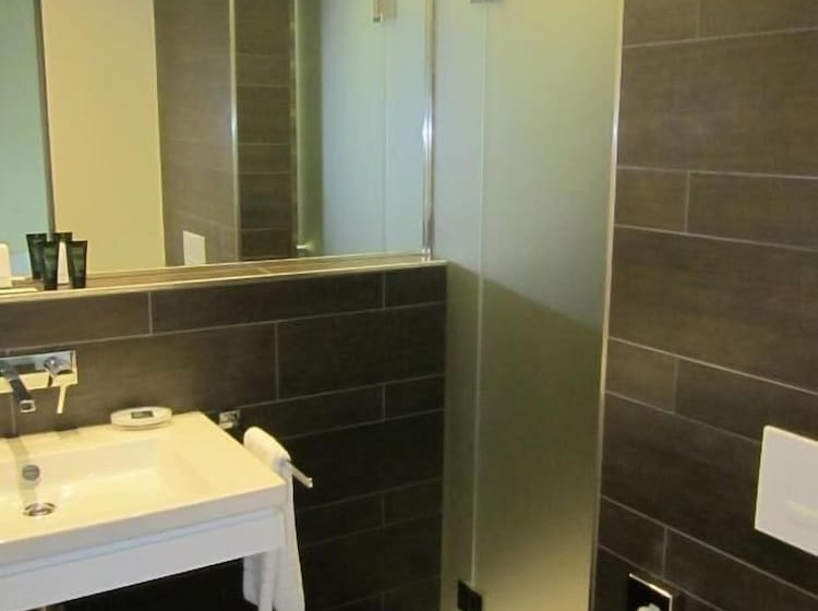 اتاق سوپریور یک تخته, Campus Hotel Hertenstein