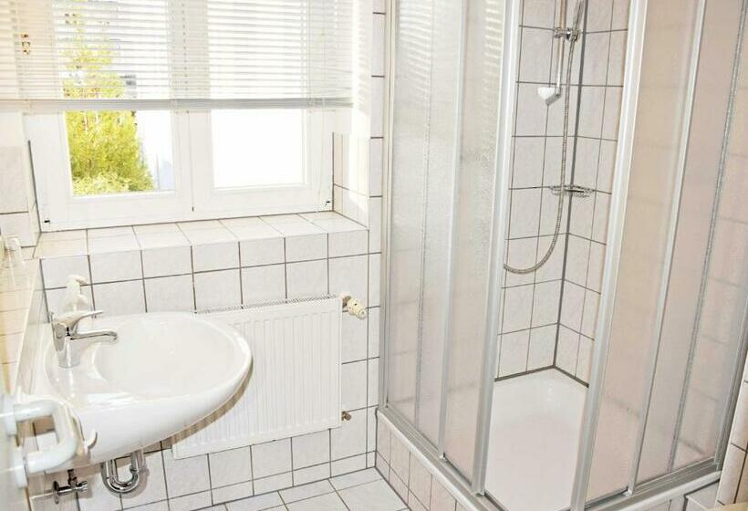 スタンダードシングルルーム, Appartementhaus Sellin