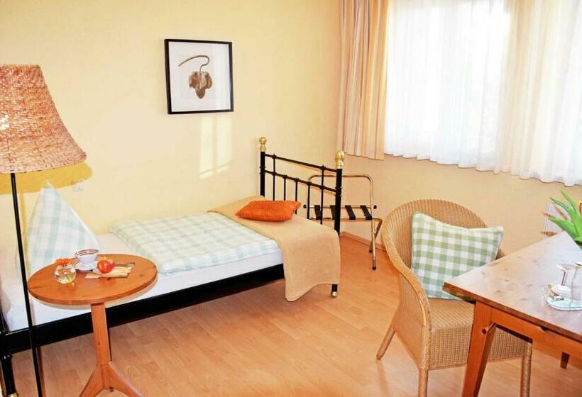 スタンダードシングルルーム, Appartementhaus Sellin