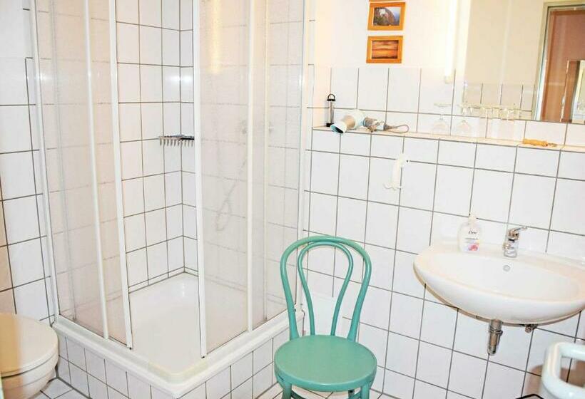 スタンダードルーム, Appartementhaus Sellin