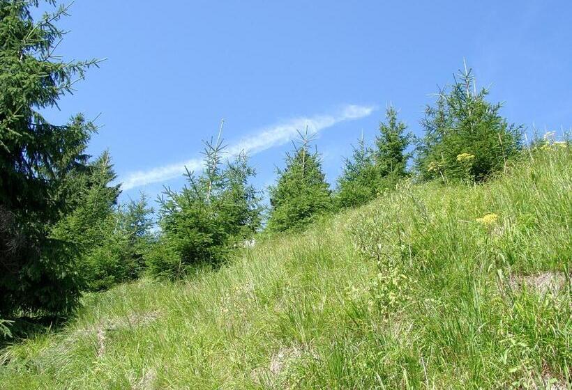 身障者適用スタンダードルーム, Aktiv Pension