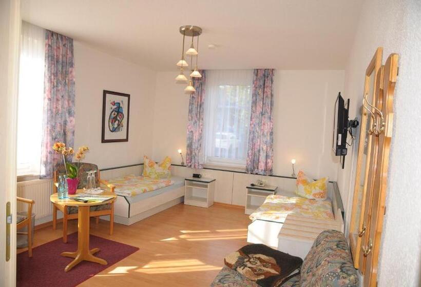 身障者適用スタンダードルーム, Aktiv Pension