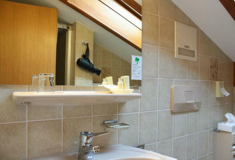 스탠다드 싱글 룸, Alpenhotel Bergzauber