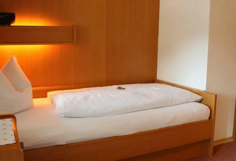 Standardeinzelzimmer, Alpenhotel Bergzauber