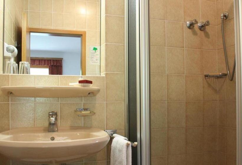 스탠다드 룸, Alpenhotel Bergzauber