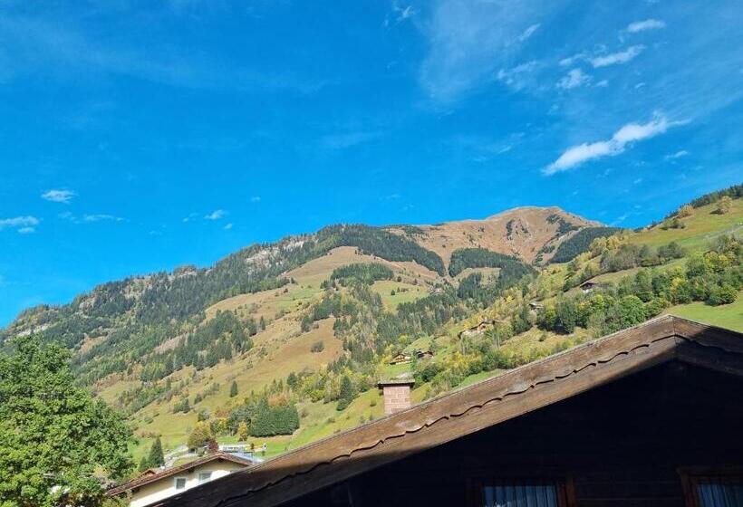 غرفة قياسية مطلة على الجبل, Pension Kaiserer