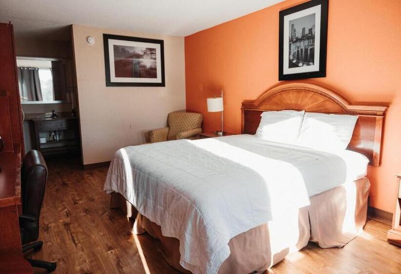 غرفة قياسية فردية, Reidsville Inn & Suites