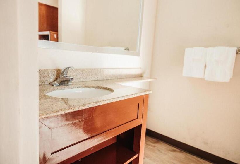 غرفة ديلوكس, Reidsville Inn & Suites