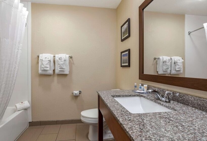 جناح سرير كينج, Comfort Inn & Suites Pueblo