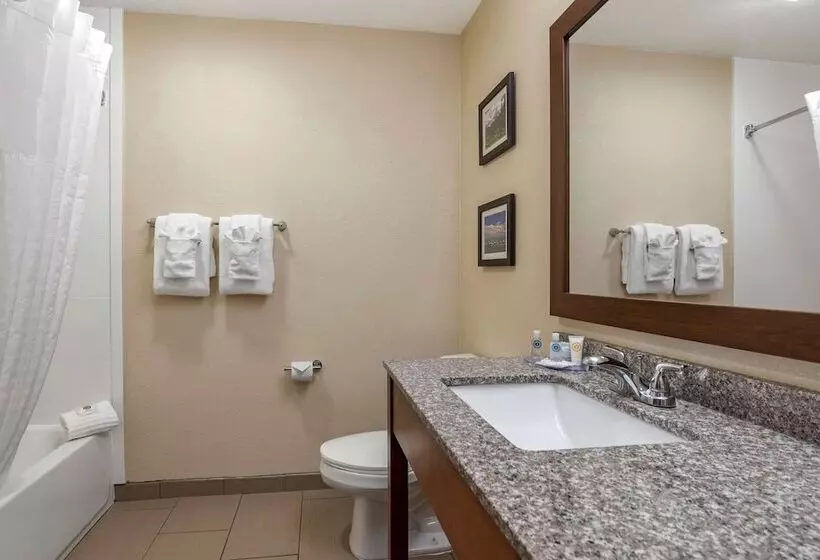 سوئیت با تخت بزرگ, Comfort Inn & Suites Pueblo