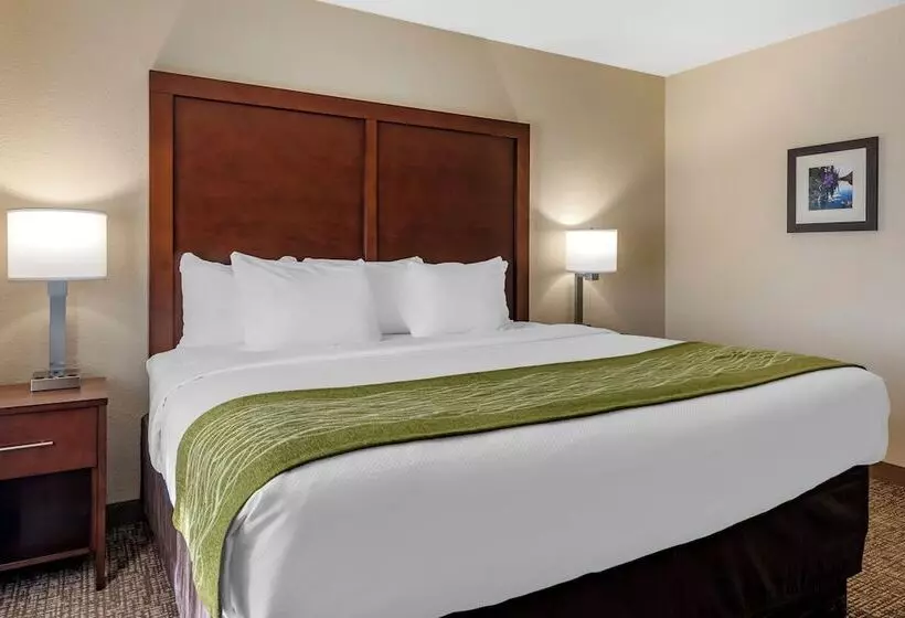 سوئیت با تخت بزرگ, Comfort Inn & Suites Pueblo