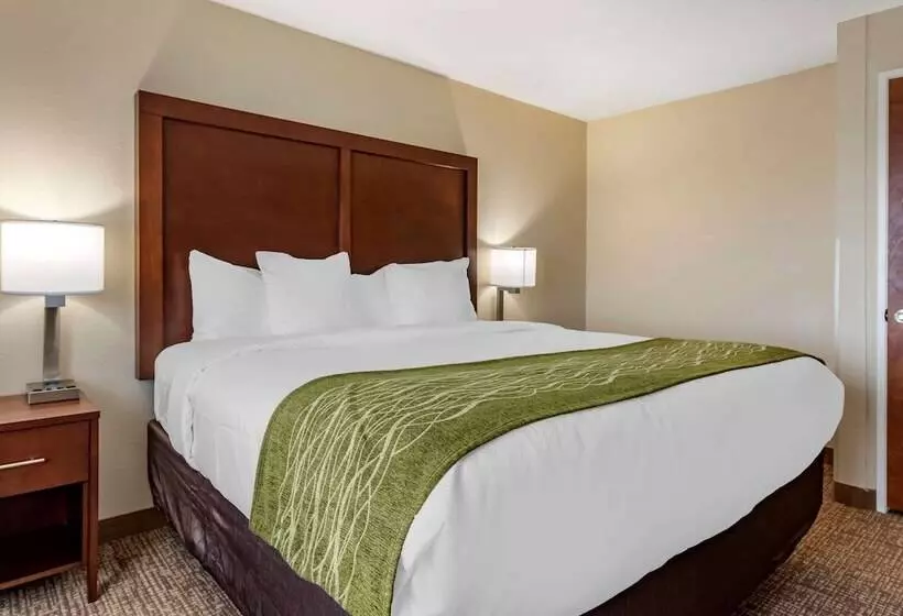سوئیت با تخت بزرگ, Comfort Inn & Suites Pueblo