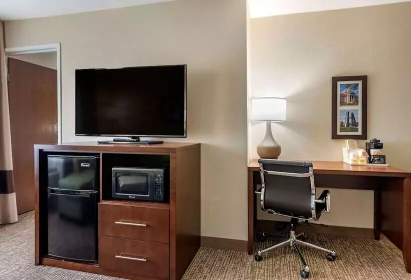 سوئیت با تخت بزرگ, Comfort Inn & Suites Pueblo