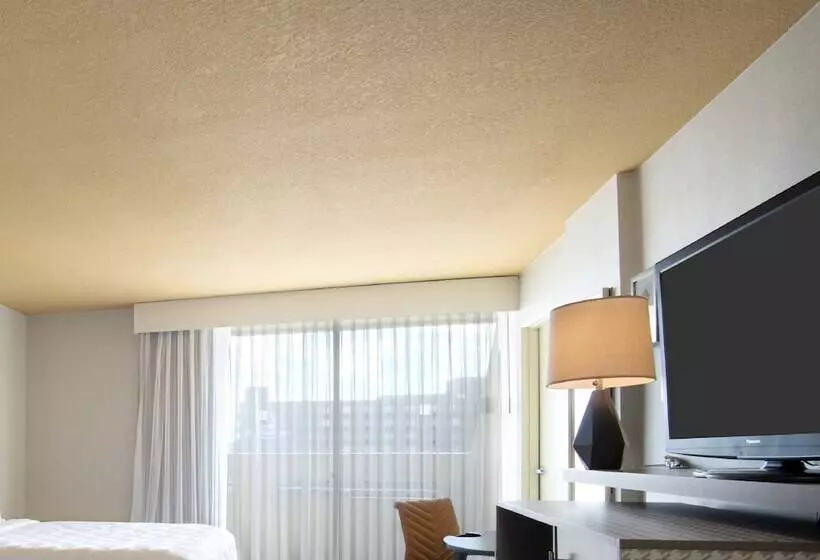 سوییت با چشم‌انداز کوه, Holiday Inn Denver East, An Ihg