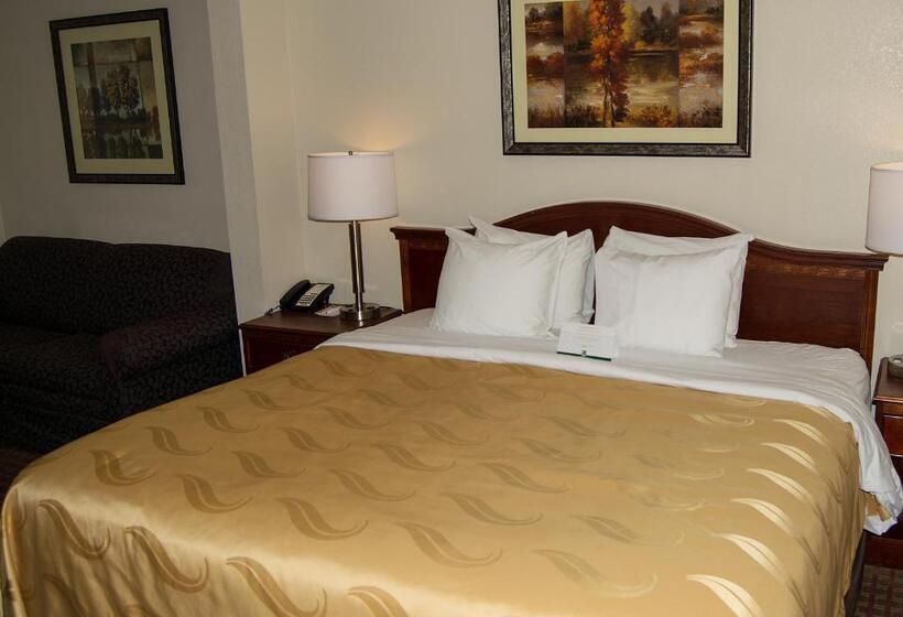 Стандартный Номер Кровать Кинг, Quality Inn & Suites Lexington Near I 64 And I 81
