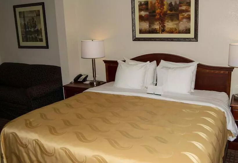 キングサイズベッドのスタンダードルーム, Quality Inn & Suites Lexington Near I 64 And I 81