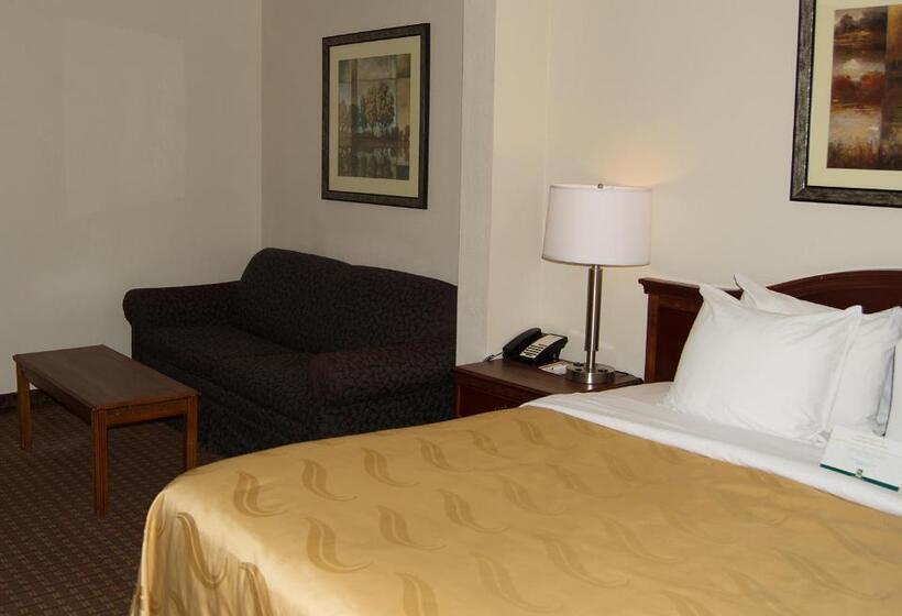 Стандартный Номер Кровать Кинг, Quality Inn & Suites Lexington Near I 64 And I 81
