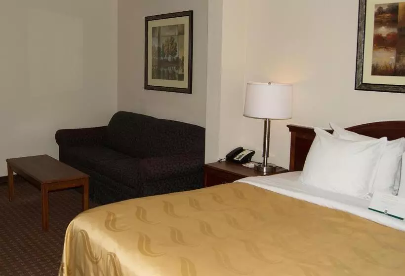 キングサイズベッドのスタンダードルーム, Quality Inn & Suites Lexington Near I 64 And I 81