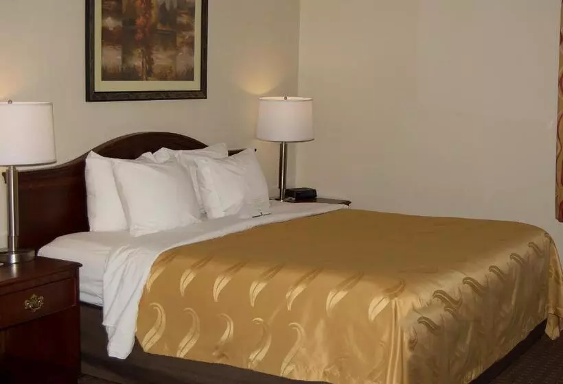 キングサイズベッドのスタンダードルーム, Quality Inn & Suites Lexington Near I 64 And I 81